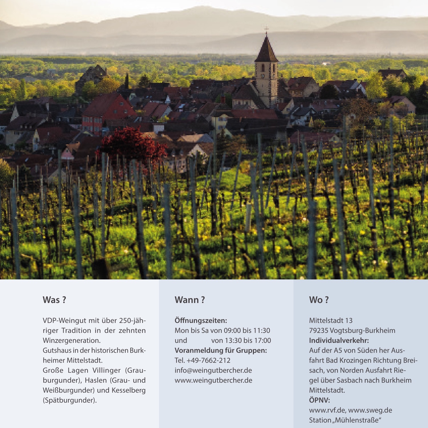 Rechte Buchseite zum Weingut Bercher in Vogtsburg-Burkheim