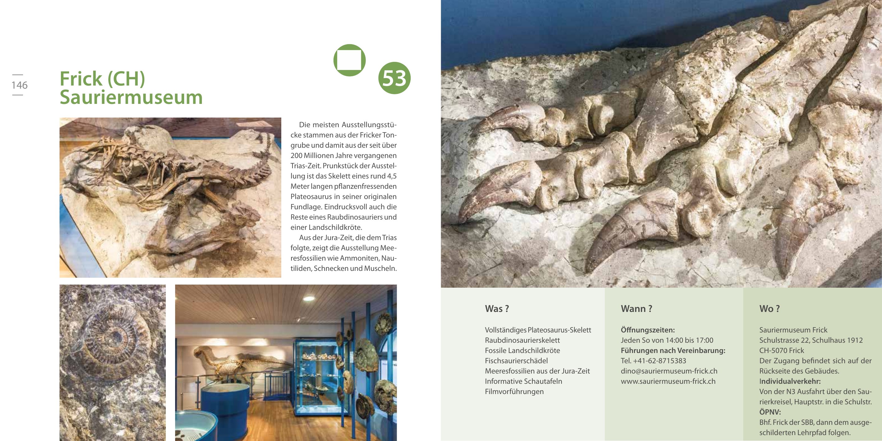 Doppelseite zum Sauriermuseum in Frick