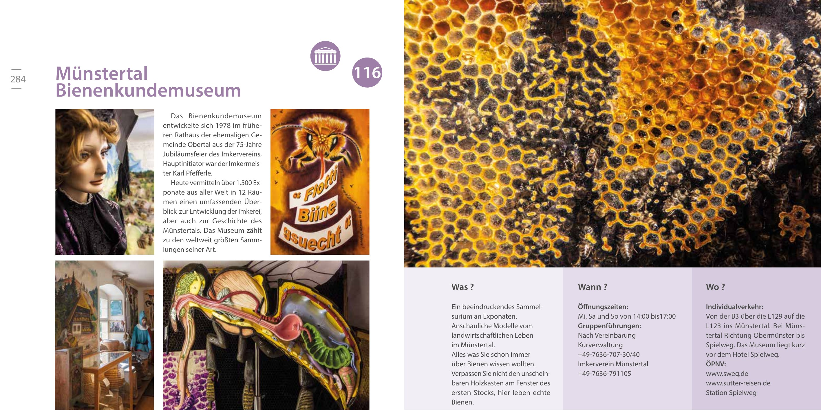 Doppelseite zum Bienenkundemuseum in Münstertal